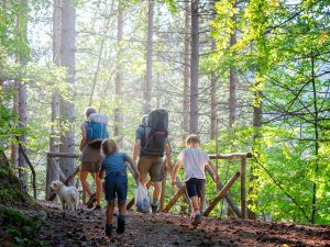 Randonnée en famille en montagne